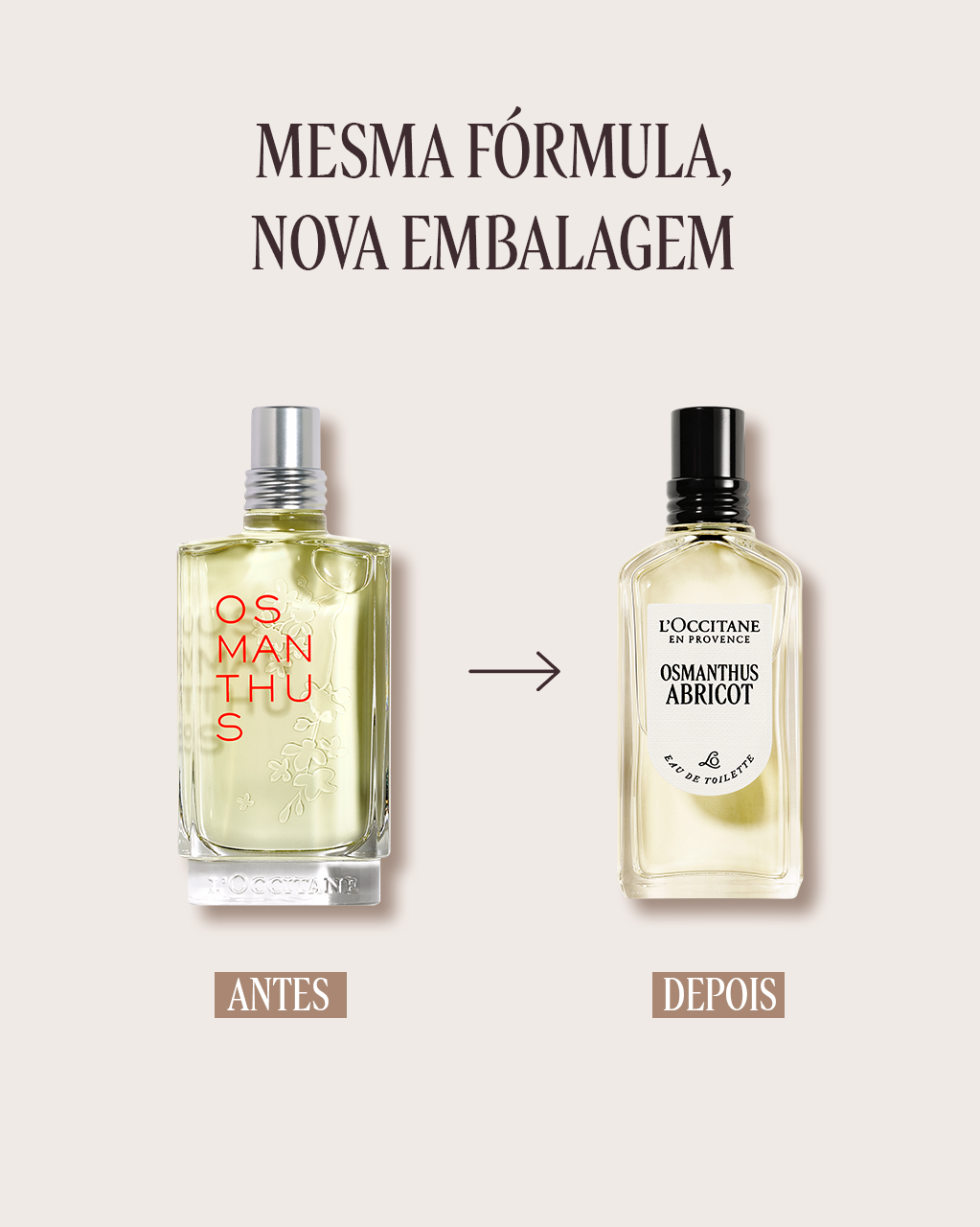 Eau de Toilette | L'Occitane en Provence